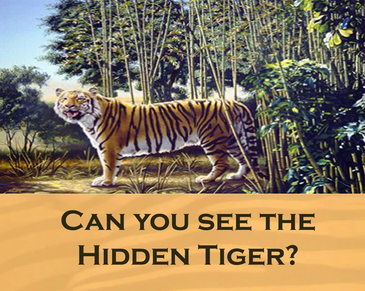 Can you find the Hidden Tiger?